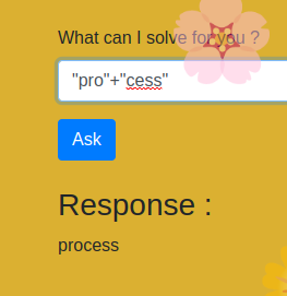 pro+cess