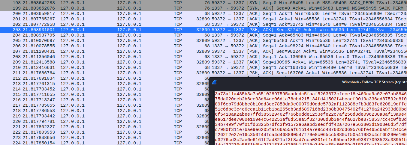firmware_chiffré
